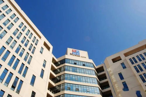 负反馈未竟，钢价磨底中——Mysteel钢铁市场周度观察与房地产咨询解析