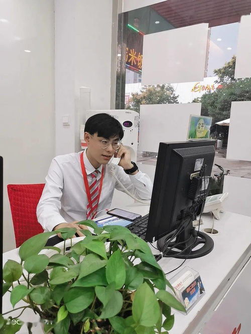 从入门到精进 房地产经纪人与房地产开发经营的职业发展指南